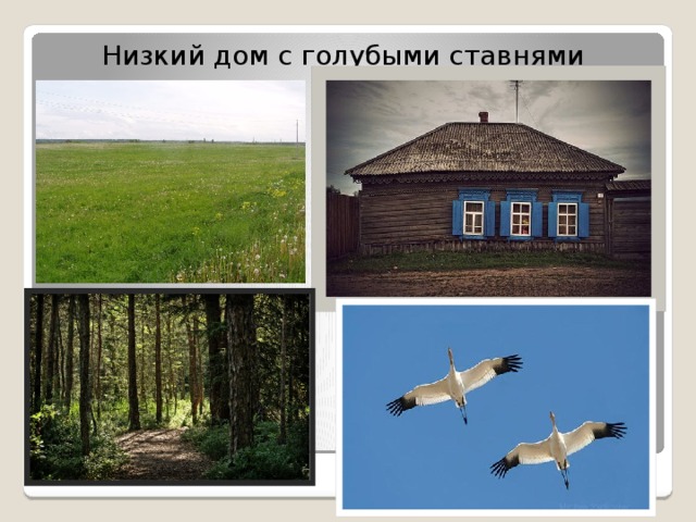  Низкий дом с голубыми ставнями 