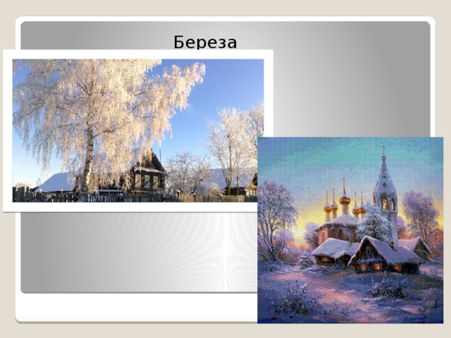  Береза 