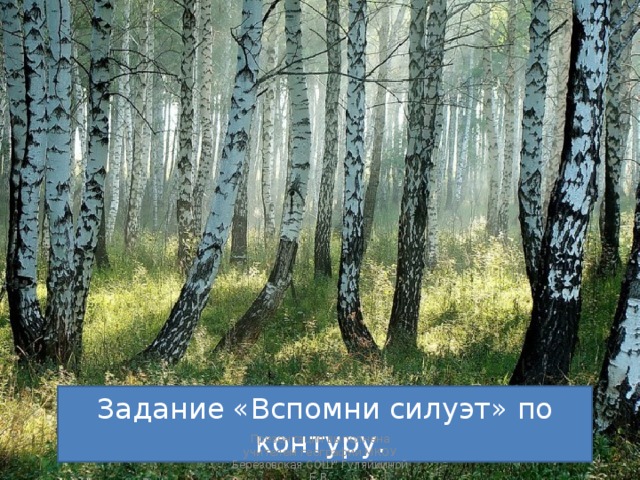 Задание «Вспомни силуэт» по контуру.  Презентация выполнена учителем географии МКОУ Берёзовская СОШ