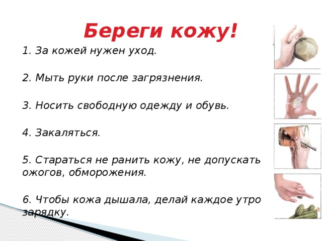 Береги кожу! 1. За кожей нужен уход.  2. Мыть руки после загрязнения.  3. Носить свободную одежду и обувь.  4. Закаляться.  5. Стараться не ранить кожу, не допускать ожогов, обморожения.  6. Чтобы кожа дышала, делай каждое утро зарядку. 