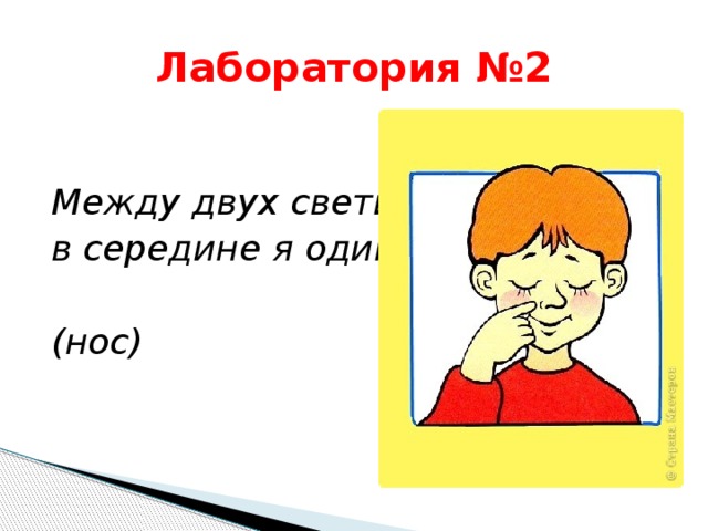 Лаборатория №2  Между двух светил в середине я один  (нос) 