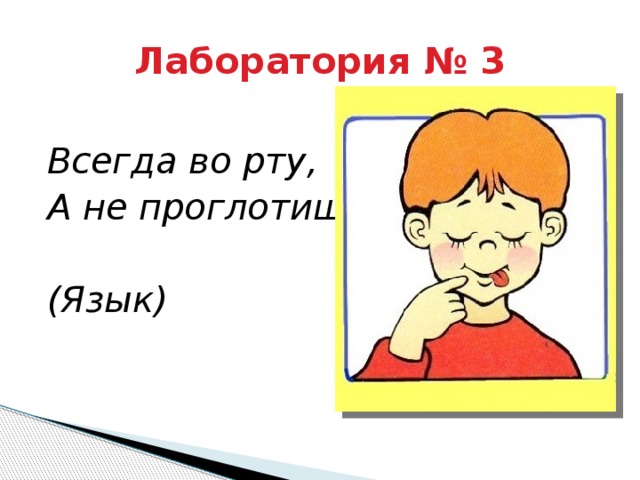 Лаборатория № 3 Всегда во рту, А не проглотишь.  (Язык) 