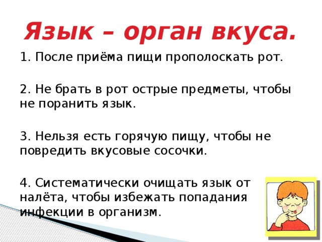 Язык – орган вкуса. 1. После приёма пищи прополоскать рот. 2. Не брать в рот острые предметы, чтобы не поранить язык. 3. Нельзя есть горячую пищу, чтобы не повредить вкусовые сосочки. 4. Систематически очищать язык от налёта, чтобы избежать попадания инфекции в организм. 