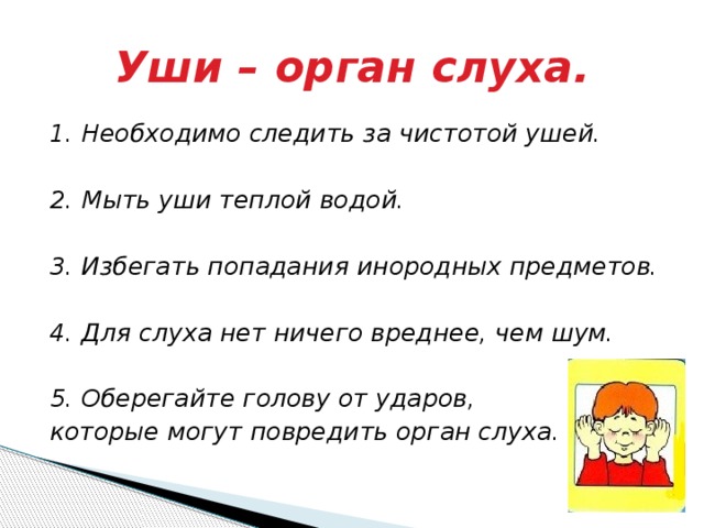 Уши – орган слуха. 1. Необходимо следить за чистотой ушей.  2. Мыть уши теплой водой.  3. Избегать попадания инородных предметов.  4. Для слуха нет ничего вреднее, чем шум.  5. Оберегайте голову от ударов, которые могут повредить орган слуха. 