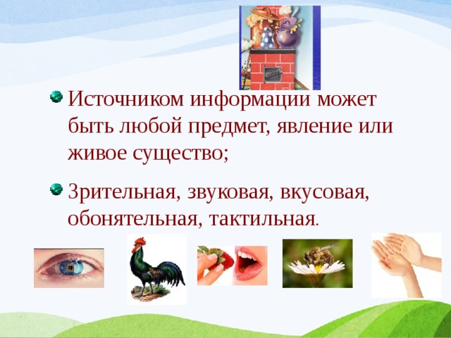 Источником информации может быть любой предмет, явление или живое существо; Зрительная, звуковая, вкусовая, обонятельная, тактильная . 