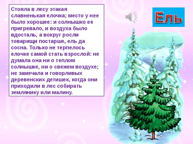 Стояла в лесу этакая славненькая елочка; место у нее было хорошее: и солнышко ее пригревало, и воздуха было вдосталь, а вокруг росли товарищи постарше, ель да сосна. Только не терпелось елочке самой стать взрослой: не думала она ни о теплом солнышке, ни о свежем воздухе; не замечала и говорливых деревенских детишек, когда они приходили в лес собирать землянику или малину. 