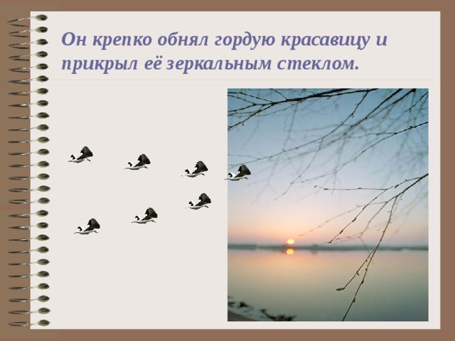 Он крепко обнял гордую красавицу и прикрыл её зеркальным стеклом. 