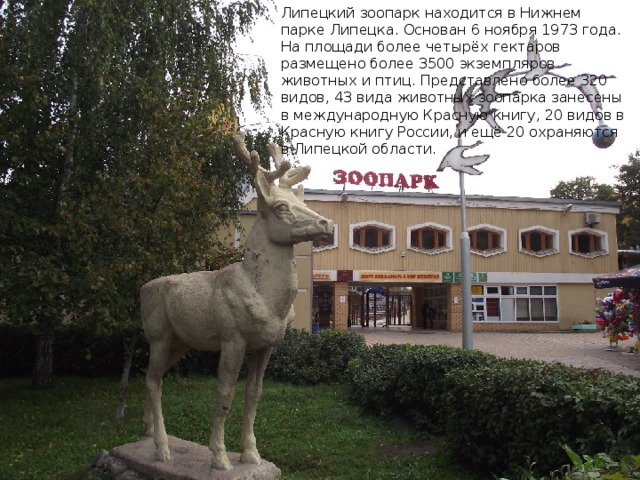 Липецкий зоопарк находится в Нижнем парке Липецка. Основан 6 ноября 1973 года. На площади более четырёх гектаров размещено более 3500 экземпляров животных и птиц. Представлено более 320 видов, 43 вида животных зоопарка занесены в международную Красную книгу, 20 видов в Красную книгу России, и ещё 20 охраняются в Липецкой области.  