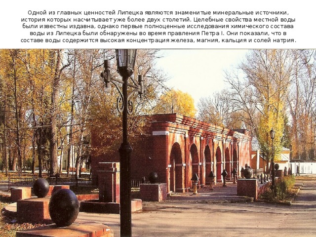 Одной из главных ценностей Липецка являются знаменитые минеральные источники, история которых насчитывает уже более двух столетий. Целебные свойства местной воды были известны издавна, однако первые полноценные исследования химического состава воды из Липецка были обнаружены во время правления Петра I. Они показали, что в составе воды содержится высокая концентрация железа, магния, кальция и солей натрия . 