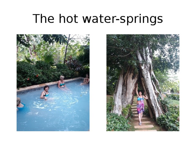 The hot water-springs 