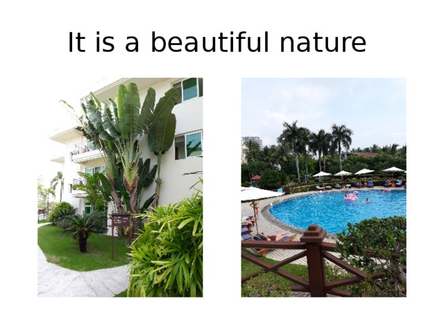 It is a beautiful nature 