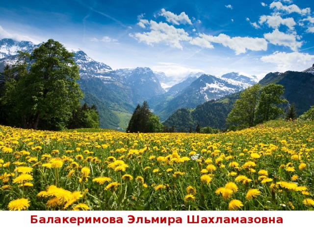 Балакеримова Эльмира Шахламазовна 