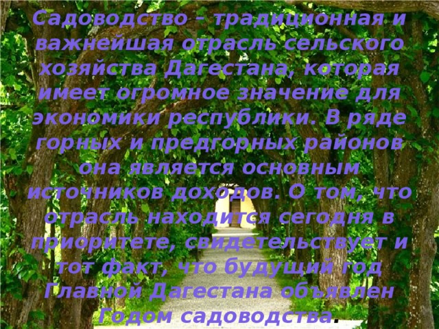 Заключение  Садоводство – традиционная и важнейшая отрасль сельского хозяйства Дагестана, которая имеет огромное значение для экономики республики. В ряде горных и предгорных районов она является основным источников доходов. О том, что отрасль находится сегодня в приоритете, свидетельствует и тот факт, что будущий год Главной Дагестана объявлен Годом садоводства .   