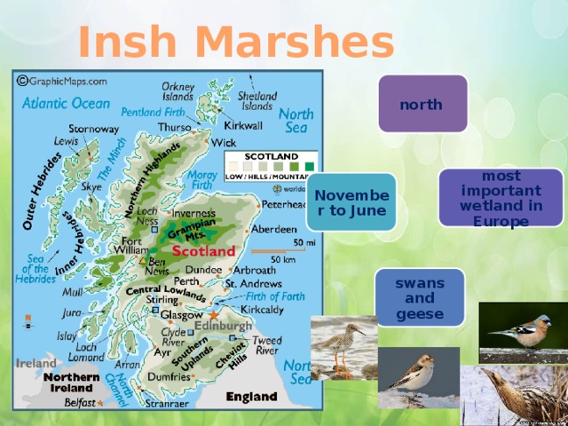Insh Marshes north  most important wetland in Europe November to June swans and geese Listen then tell about this place. You can use the following notes. Can you add more information? 21 