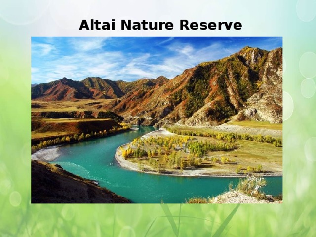 Altai Nature Reserve   