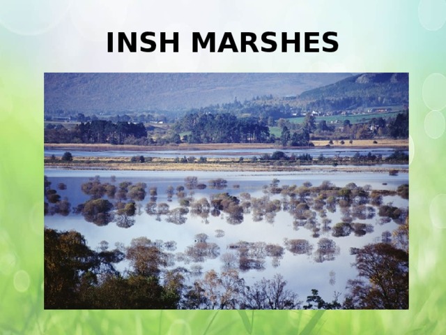 INSH MARSHES 