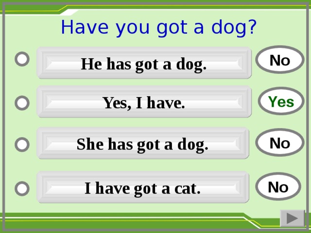Have you got a dog ?  No He has got a dog. Yes, I have. Yes She has got a dog. No I have got a cat. No