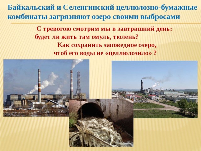 Байкальский и Селенгинский целлюлозно-бумажные комбинаты загрязняют озеро своими выбросами С тревогою смотрим мы в завтрашний день: будет ли жить там омуль, тюлень? Как сохранить заповедное озеро, чтоб его воды не «целлюлозило» ? 