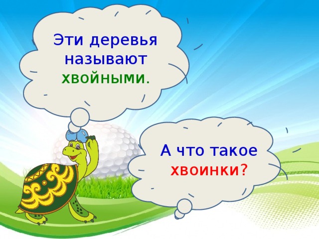 Эти деревья называют хвойными. А что такое хвоинки? 