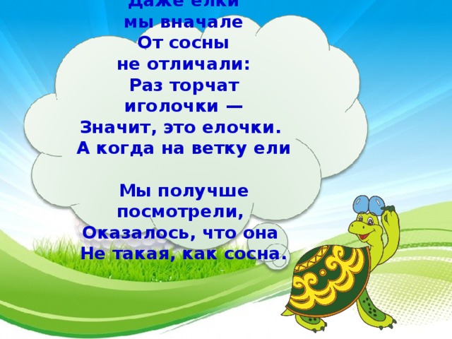  Даже елки мы вначале  От сосны не отличали:  Раз торчат иголочки —  Значит, это елочки.  А когда на ветку ели  Мы получше посмотрели,  Оказалось, что она  Не такая, как сосна.   24 