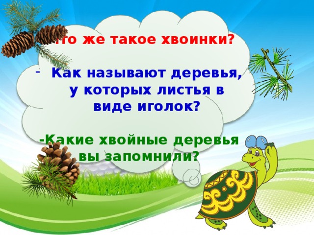 -Что же такое хвоинки?  Как называют деревья, у которых листья в виде иголок?  -Какие хвойные деревья вы запомнили?    25 