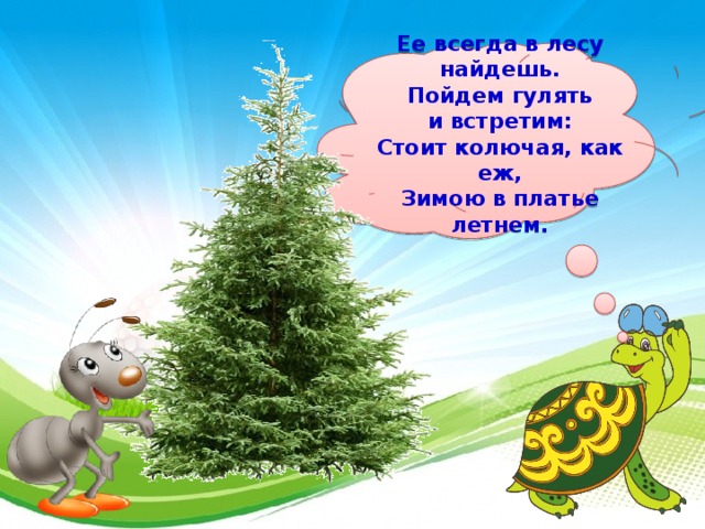  Ее всегда в лесу найдешь.  Пойдем гулять и встретим:  Стоит колючая, как еж,  Зимою в платье летнем.    