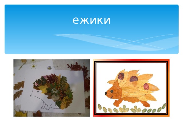 ежики 