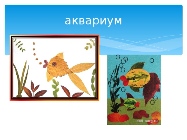 аквариум 