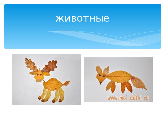 животные 