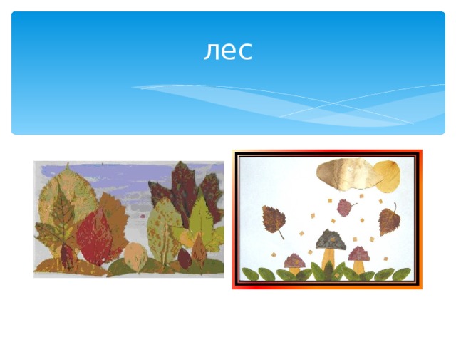 лес 