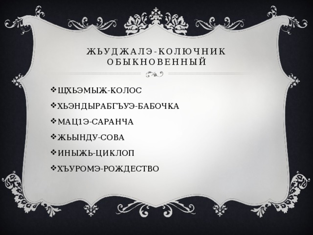 ЖЬУДЖАЛЭ-КОЛЮЧНИК ОБЫКНОВЕННЫЙ ЩХЬЭМЫЖ-КОЛОС ХЬЭНДЫРАБГЪУЭ-БАБОЧКА МАЦ1Э-САРАНЧА ЖЬЫНДУ-СОВА ИНЫЖЬ-ЦИКЛОП ХЪУРОМЭ-РОЖДЕСТВО 