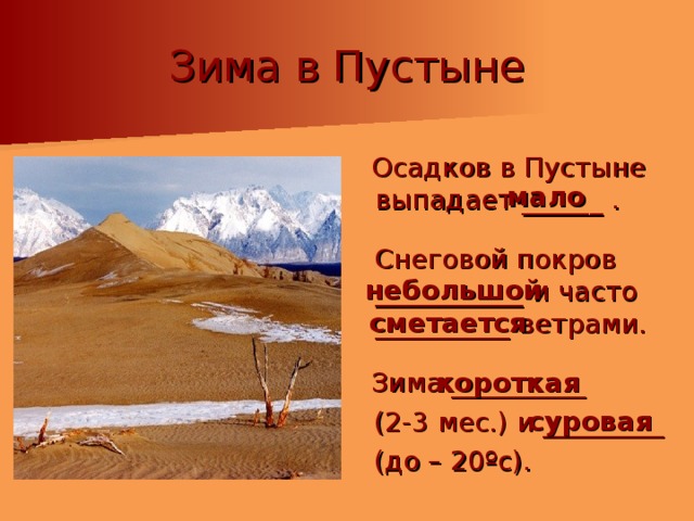 Зима в Пустыне  Осадков в Пустыне выпадает ______ .  Снеговой покров ___________ и часто __________ ветрами.  Зима __________  (2-3 мес.) и _________  (до – 20ºс). мало небольшой сметается короткая суровая 