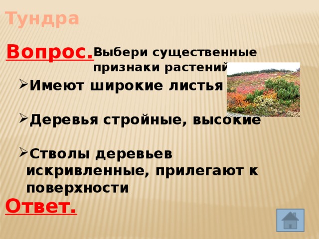 Тундра Вопрос. Выбери существенные признаки растений тундры Имеют широкие листья  Деревья стройные, высокие  Стволы деревьев искривленные, прилегают к поверхности Ответ. 
