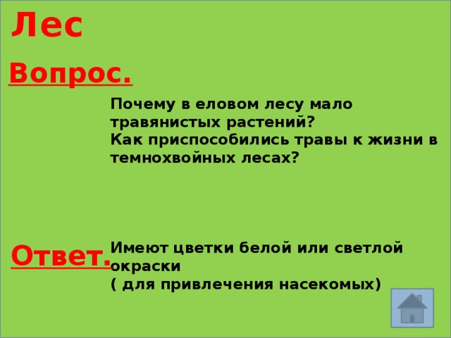 Лес Вопрос. Почему в еловом лесу мало травянистых растений? Как приспособились травы к жизни в темнохвойных лесах? Имеют цветки белой или светлой окраски Ответ. ( для привлечения насекомых) 