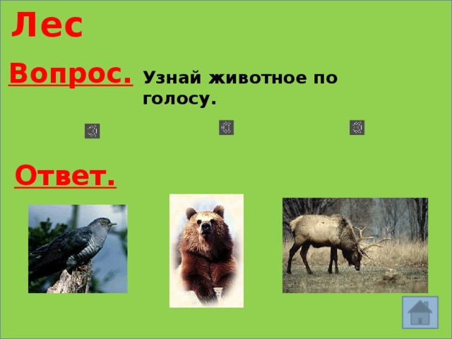 Лес Вопрос. Узнай животное по голосу. Ответ. 