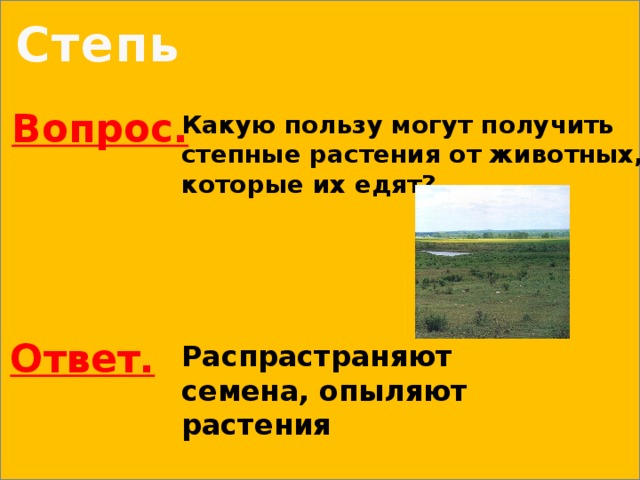 Степь Вопрос. Какую пользу могут получить степные растения от животных, которые их едят? Ответ. Распрастраняют семена, опыляют растения 