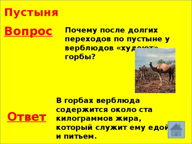 Пустыня Вопрос Почему после долгих переходов по пустыне у верблюдов «худеют» горбы? В горбах верблюда содержится около ста килограммов жира, который служит ему едой и питьем. Ответ 