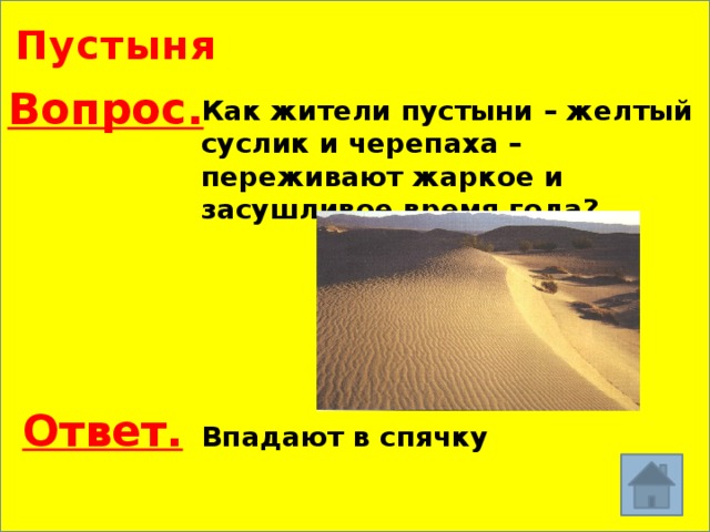 Пустыня Вопрос. Как жители пустыни – желтый суслик и черепаха – переживают жаркое и засушливое время года? Ответ. Впадают в спячку 