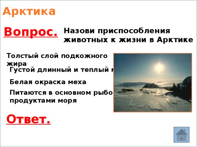 Арктика Вопрос. Назови приспособления животных к жизни в Арктике Толстый слой подкожного жира Густой длинный и теплый мех Белая окраска меха Питаются в основном рыбой и продуктами моря Ответ. 