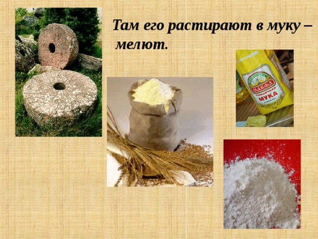 Там его растирают в муку –  мелют .