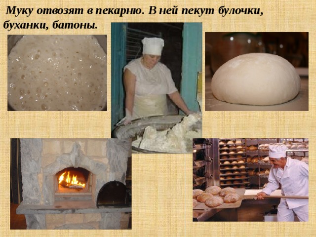Муку отвозят в пекарню. В ней пекут булочки, буханки, батоны.