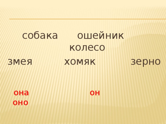 собака ошейник колесо змея хомяк зерно  она он оно 