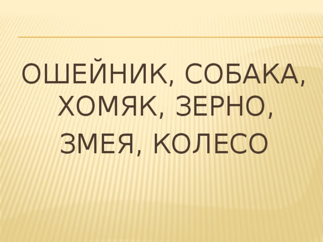 ОШЕЙНИК, СОБАКА, ХОМЯК, ЗЕРНО, ЗМЕЯ, КОЛЕСО 