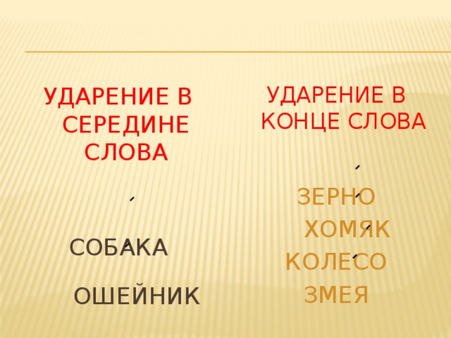 УДАРЕНИЕ В СЕРЕДИНЕ СЛОВА УДАРЕНИЕ В КОНЦЕ СЛОВА ЗЕРНО СОБАКА  ОШЕЙНИК  ХОМЯК КОЛЕСО ЗМЕЯ 