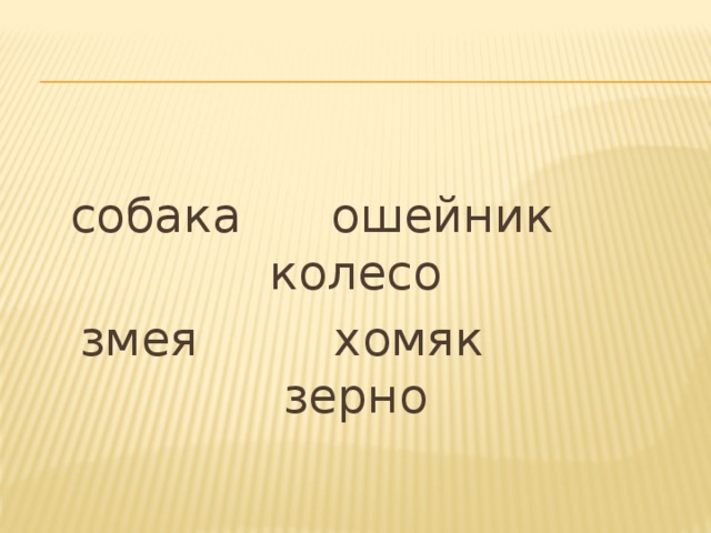 собака ошейник колесо змея хомяк зерно 
