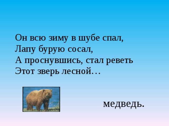 Он всю зиму в шубе спал, Лапу бурую сосал, А проснувшись, стал реветь Этот зверь лесной…   медведь.