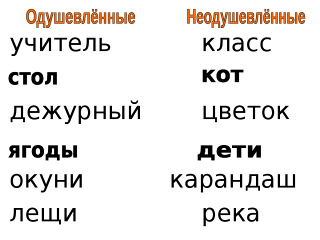 учитель    класс дежурный   цветок окуни    карандаш лещи     река 