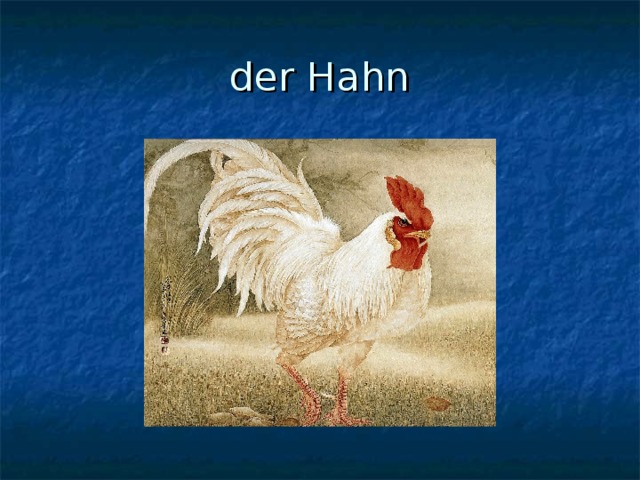 der Hahn 