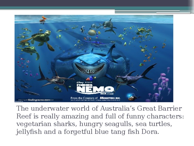 The underwater world of Australia’s Great Barrier Reef is really amazing and full of funny characters: vegetarian sharks, hungry seagulls, sea turtles, jellyfish and a forgetful blue tang fish Dora. 