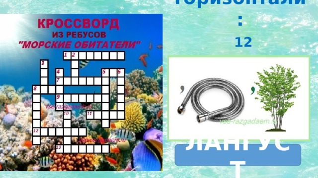 По горизонтали: 12 ЛАНГУСТ                                        
